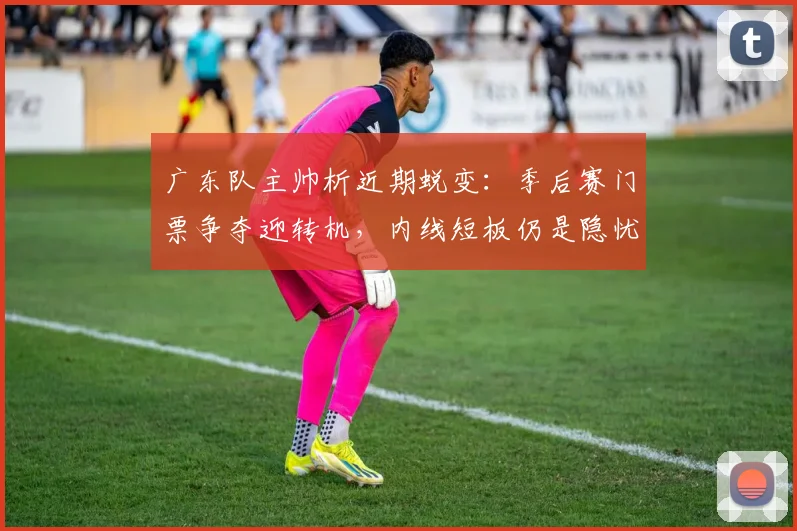 广东队主帅析近期蜕变:季后赛门票争夺迎转机,内线短板仍是隐忧